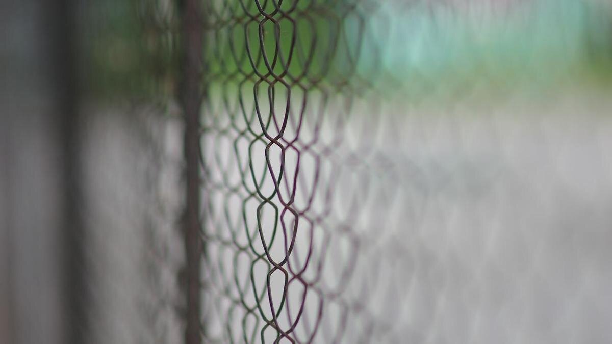    Сетка Рабица:pixabay.com