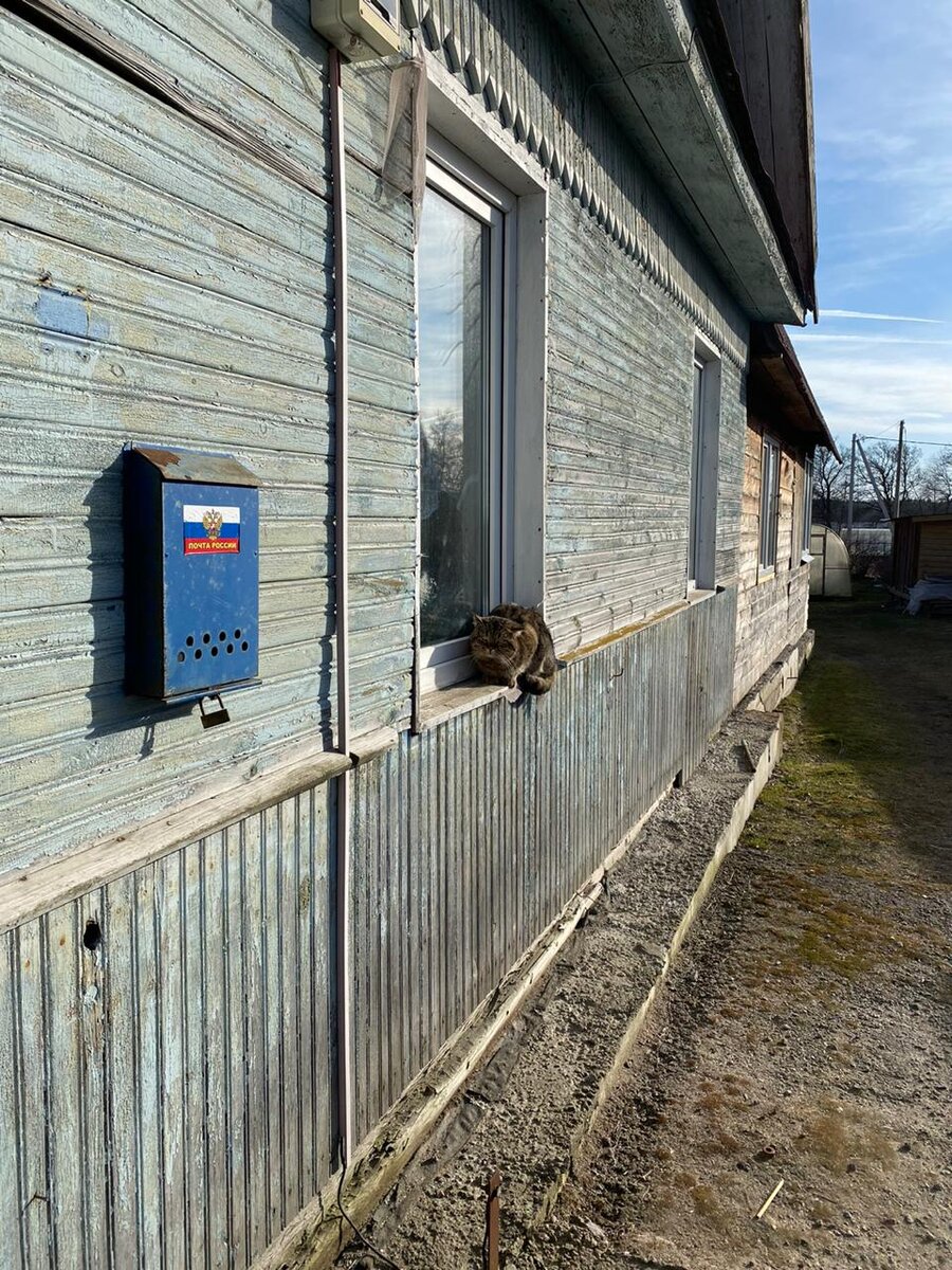 Село Шепелёво