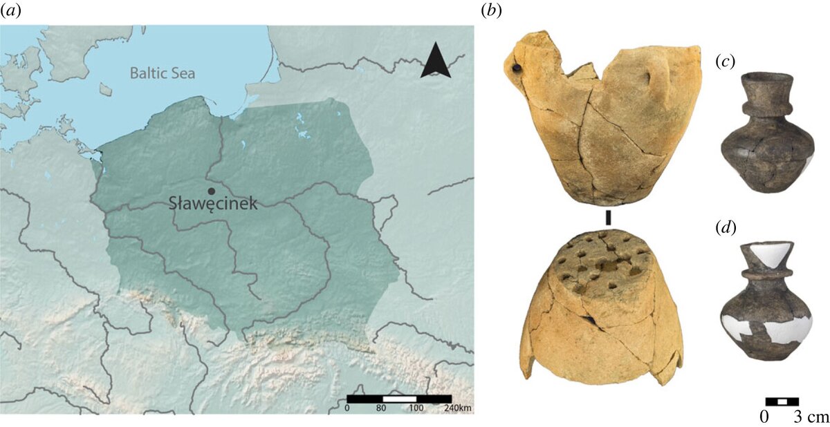    Место раскопок. 6000 тысяч лет назад там была одна из первых сыроваренhttps://royalsocietypublishing.org/doi/10.1098/rsos.230124