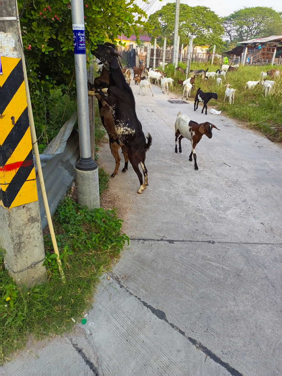 Изображение принадлежит автору канала.