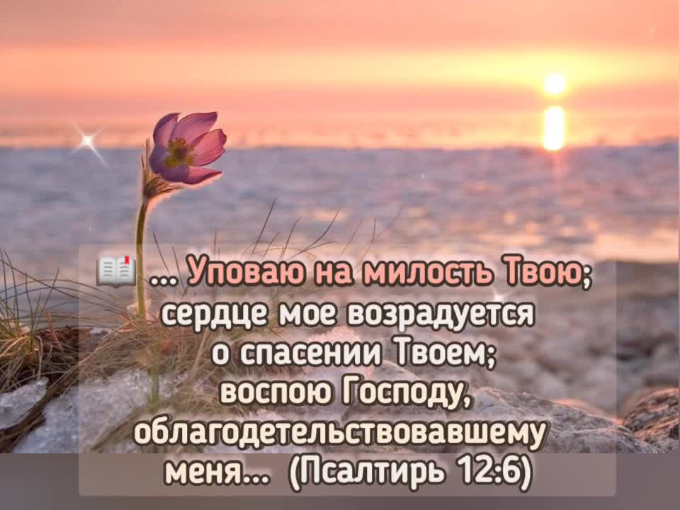Под твою милость слушать