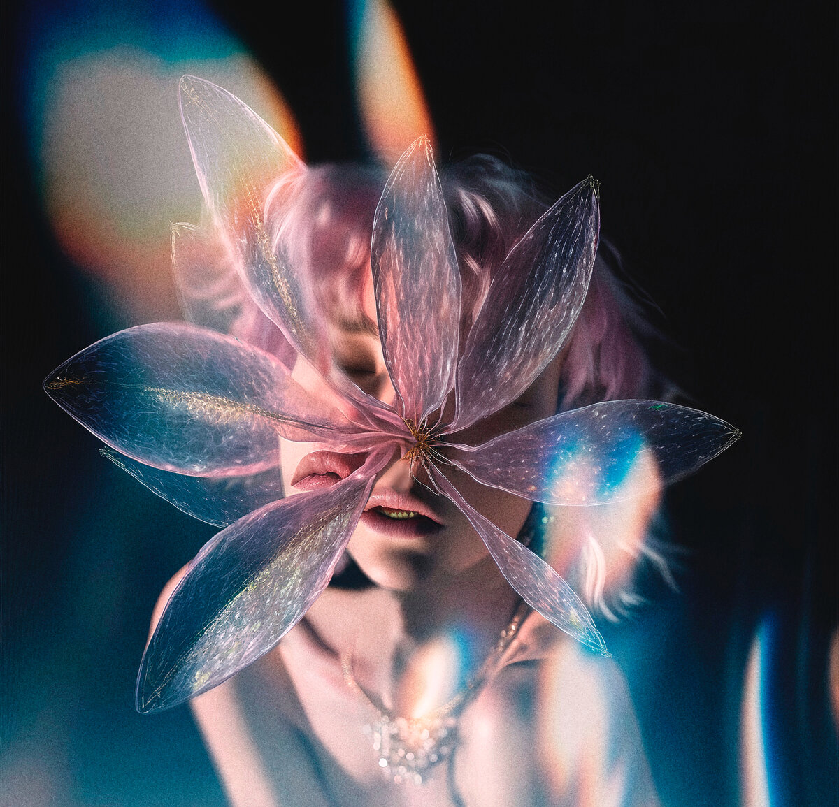 Название: Порроглоссум эквадорский
Автор: Oko-Avi