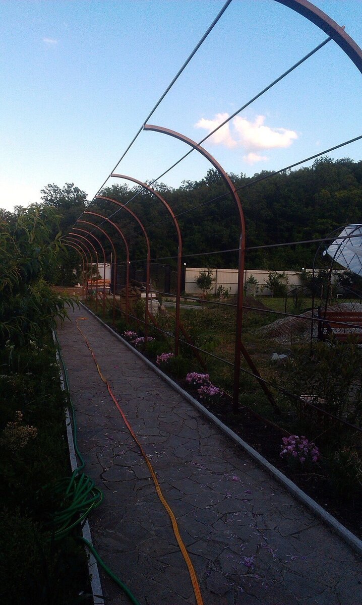 Навес для винограда