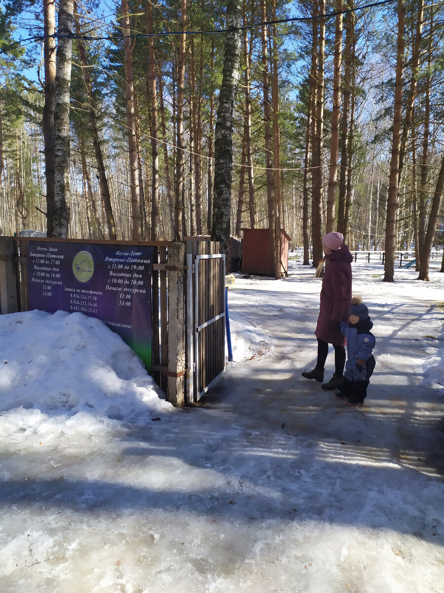 Пока Солнышко активно растапливало снежок и наледье. Мы притопали за приключениями.