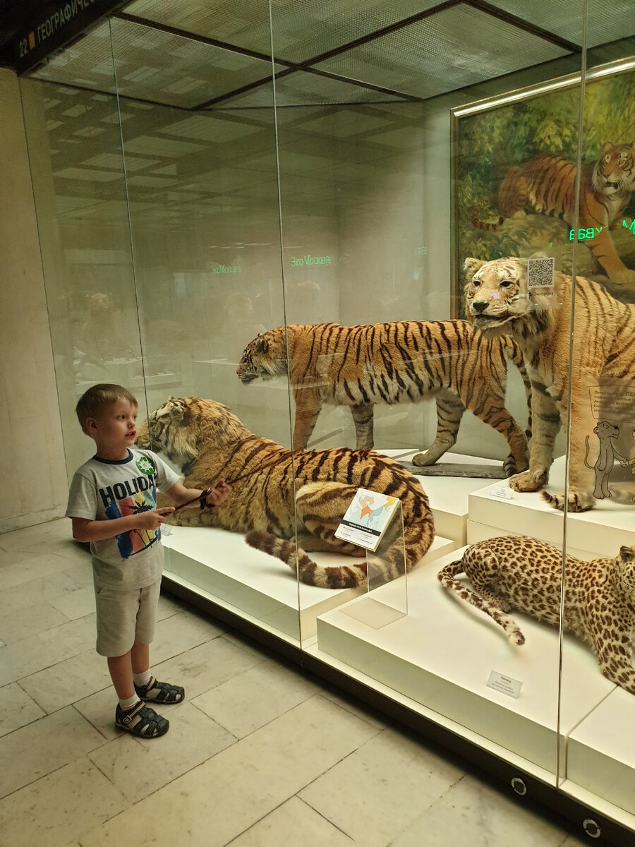 Фото автора. Дарвиновский музей.