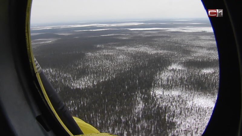    Мужчина, похитивший 126 тонн нефти в Югре, предстанет перед судом