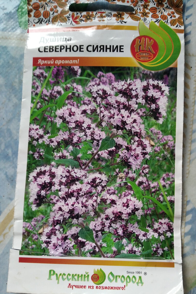 Впервые сею, начинает всходить.