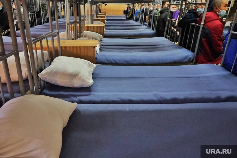    Приют просит помощь в виде дезинсекции и приобретении матрасов