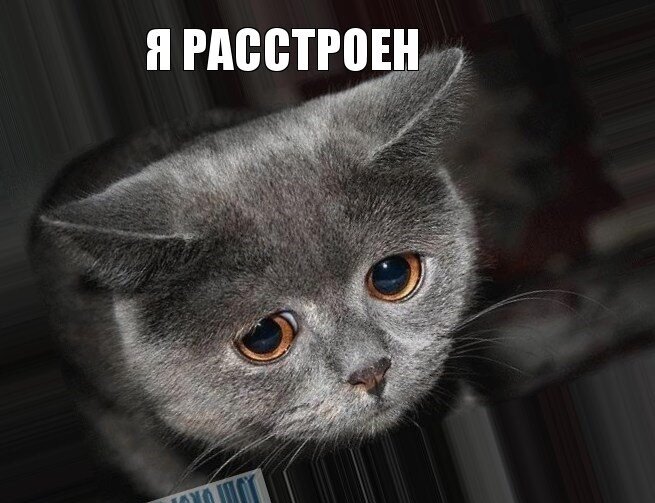 Из открытых источников 