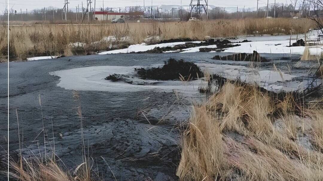     Глава Росприроднадзора озвучила, сколько территорий загрязнилось в Альметьевском районе после разгерметизации нефтепровода. Последний принадлежит «Татнефти», пишет чиновница в своем Telegram-канале.