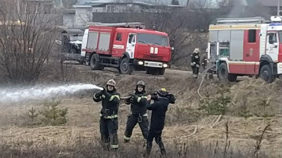    Автор фото: пресс-служба управления лесного хозяйства Воронежской области