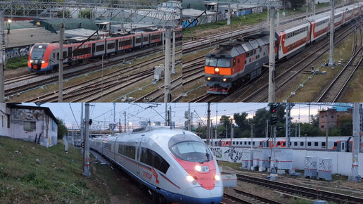 Ласточка в москве