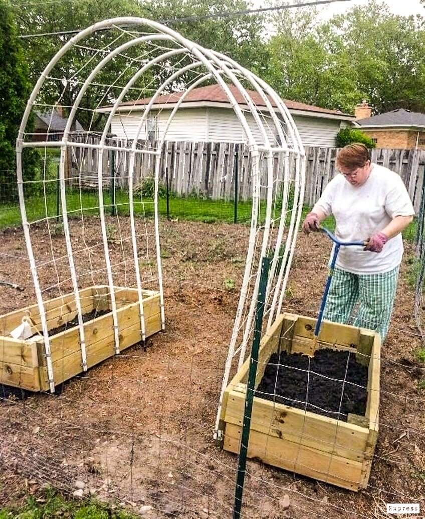 арки из труб пвх для сада фото