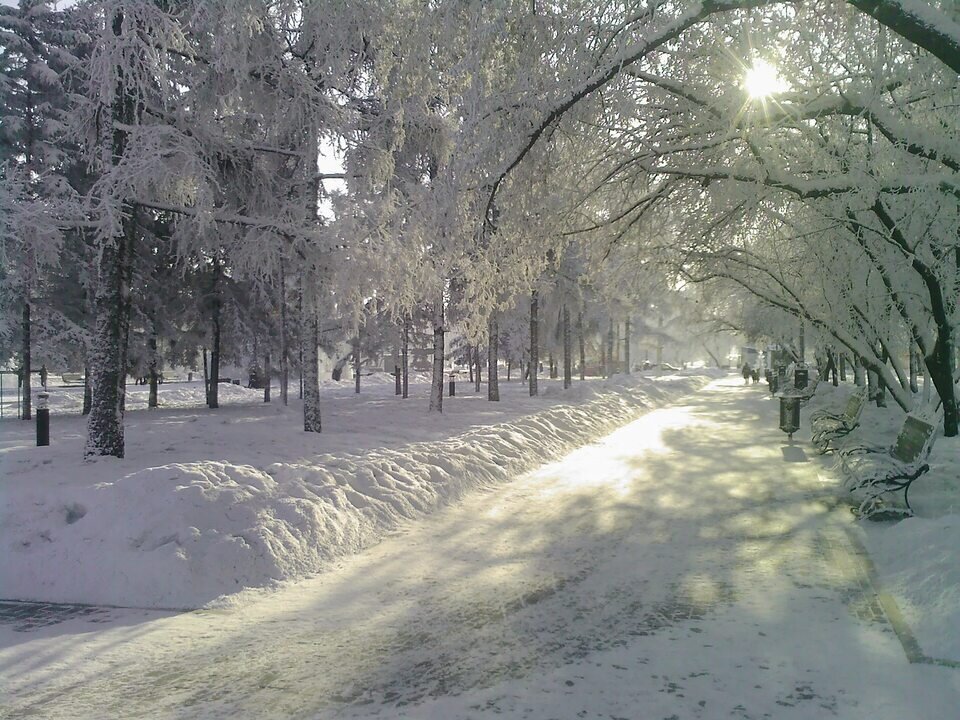 Зима солнце скамейка