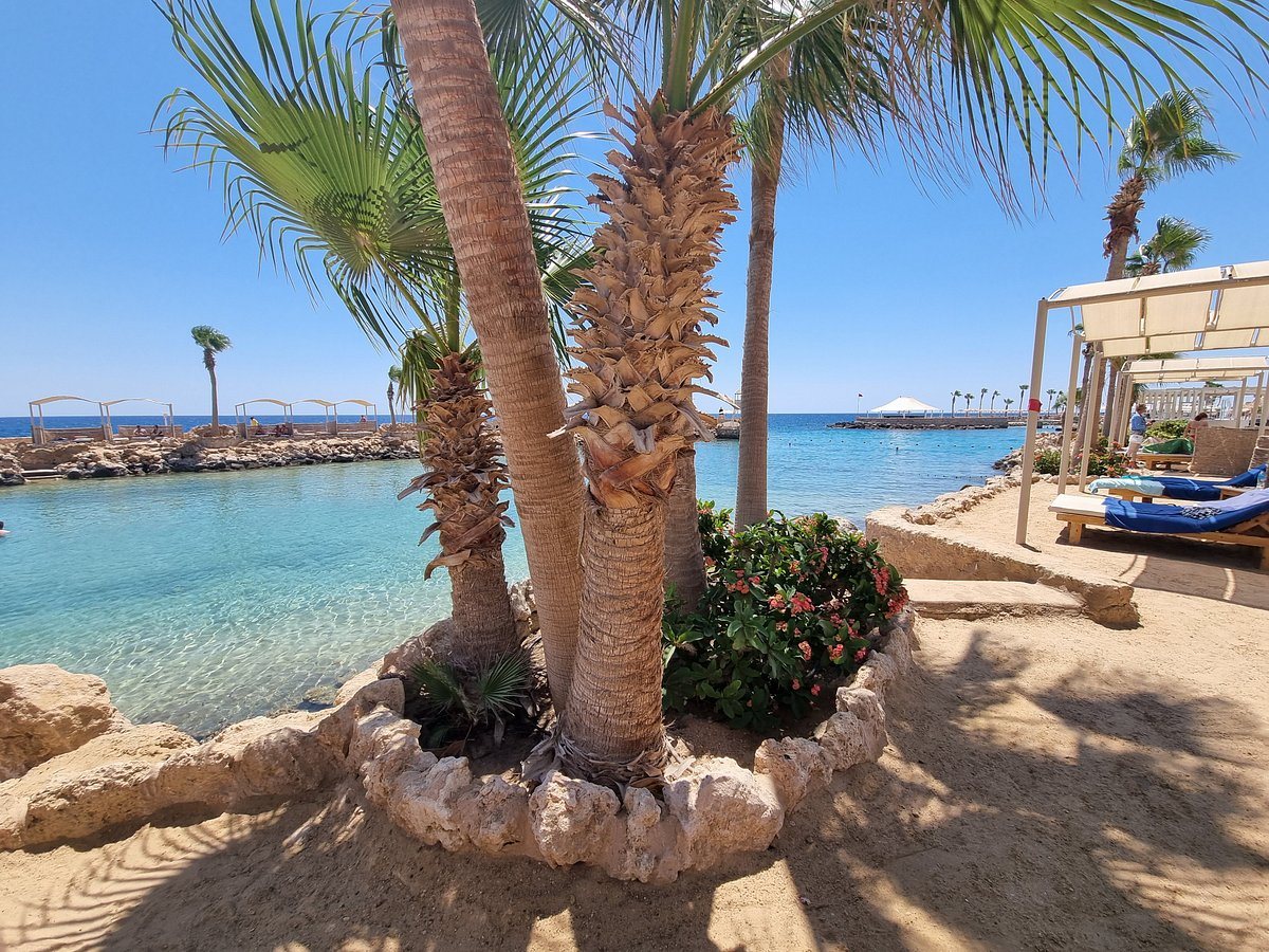 Курорт в хургаде