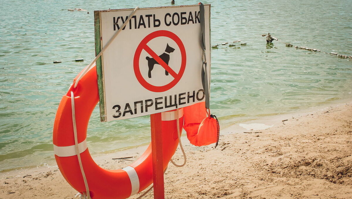     Жители Ростовской области стали заболевать устойчивым к лекарствам туберкулезом, тем временем синоптики предупредили о жарком лете в этом году, а дом на Скачкова в Ростове протаранил трамвай.