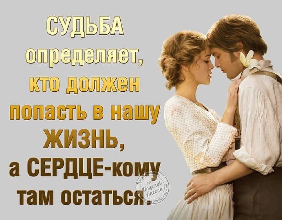 Три самых любимых. Нас свела судьба. Судьба сведет нас вместе. Судьба нас сводит с нужными людьми. Сердце мужчины цитаты.