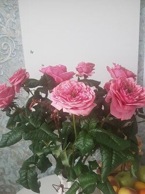фото из личного архива