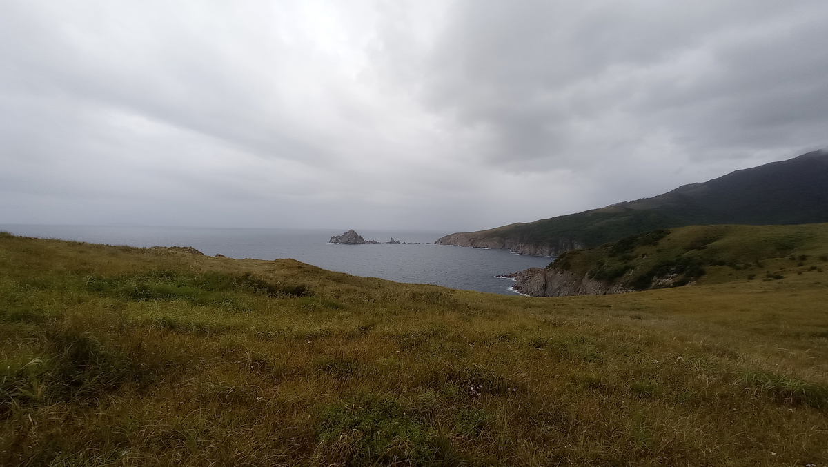 Полуостров Гамова Шлиппенбаха