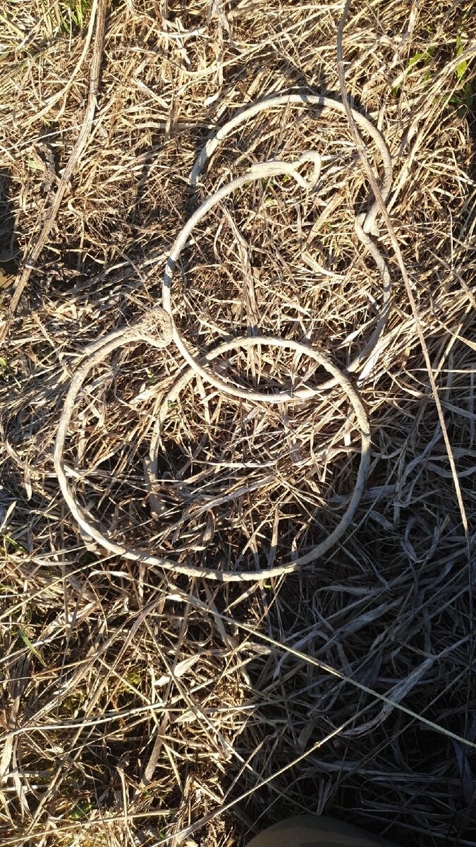 Фото Марины М.