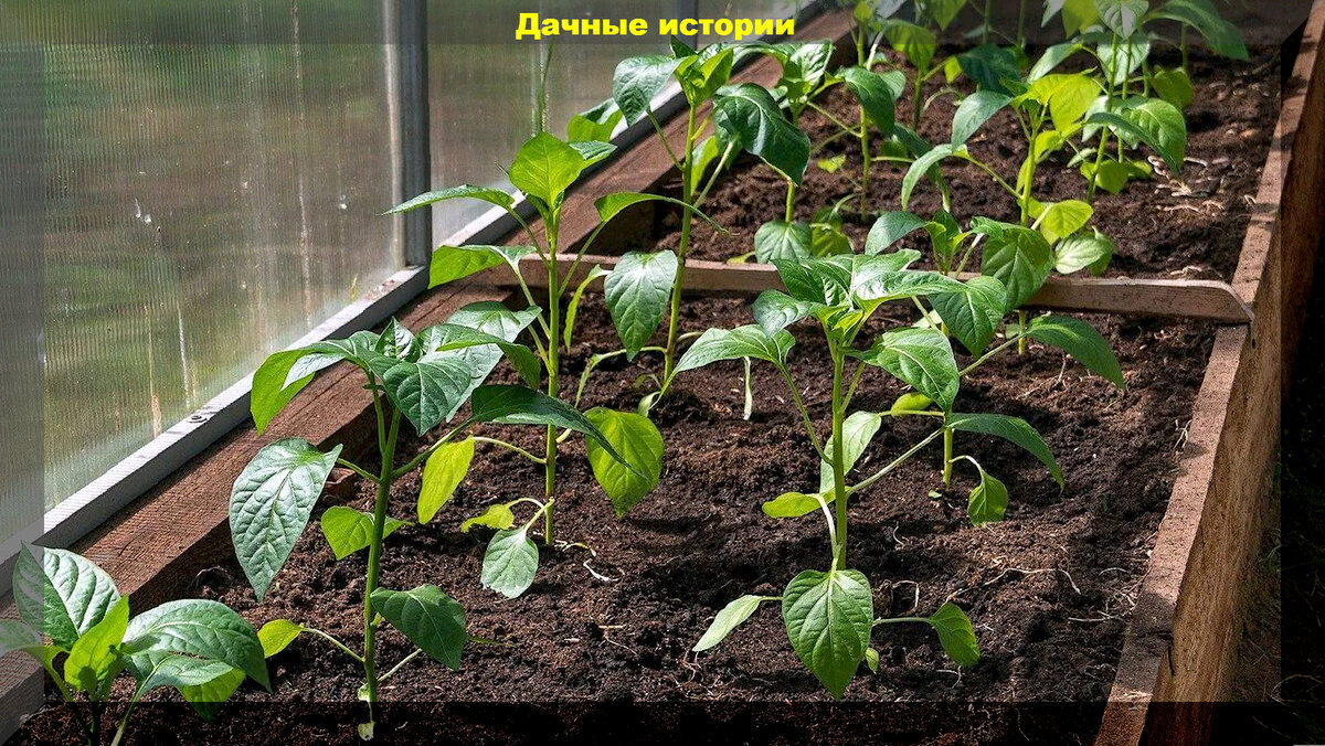 https://vk.com/photo-159774511_457258651