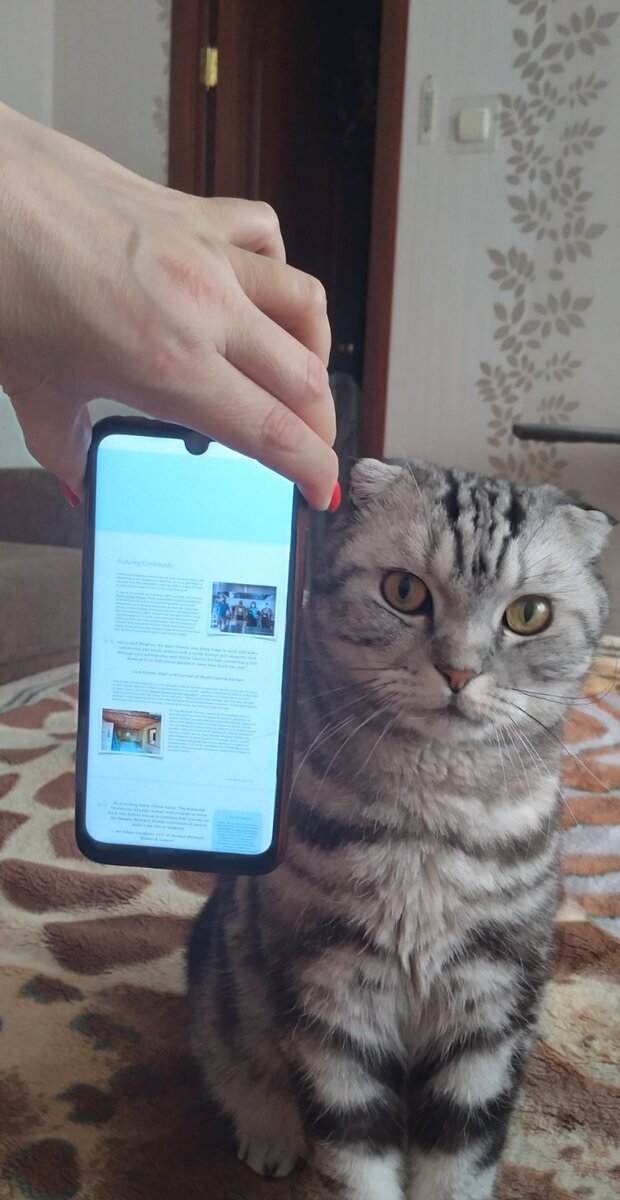 Его не разыскивает даже милиция