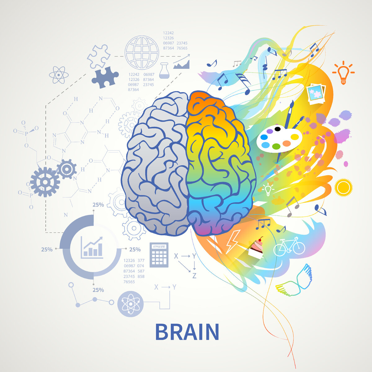 <a href="https://ru.freepik.com/free-vector/brain-functions-concept-infographic-symbolic-depiction-with-left-side-logic-science-mathematics-right-arts-creativity_6869586.htm#query=%D1%83%D1%87%D0%B8%D1%82%D1%8C%20%D0%BC%D0%B0%D1%82%D0%B5%D0%BC%D0%B0%D1%82%D0%B8%D0%BA%D1%83&position=45&from_view=search&track=sph">Изображение от macrovector</a> на Freepik