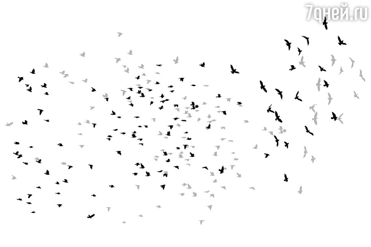    К чему снятся птицы 123RF/legion-media.ru