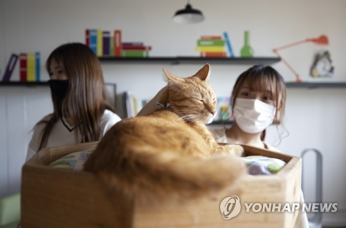 Добавьте описание