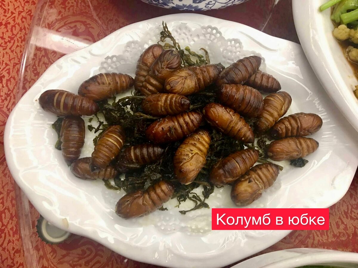 Жареные личинки цикад