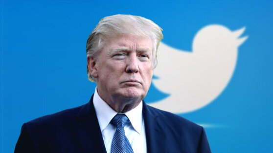    Трамп заявил, что может вернуться в Twitter Анна Белая