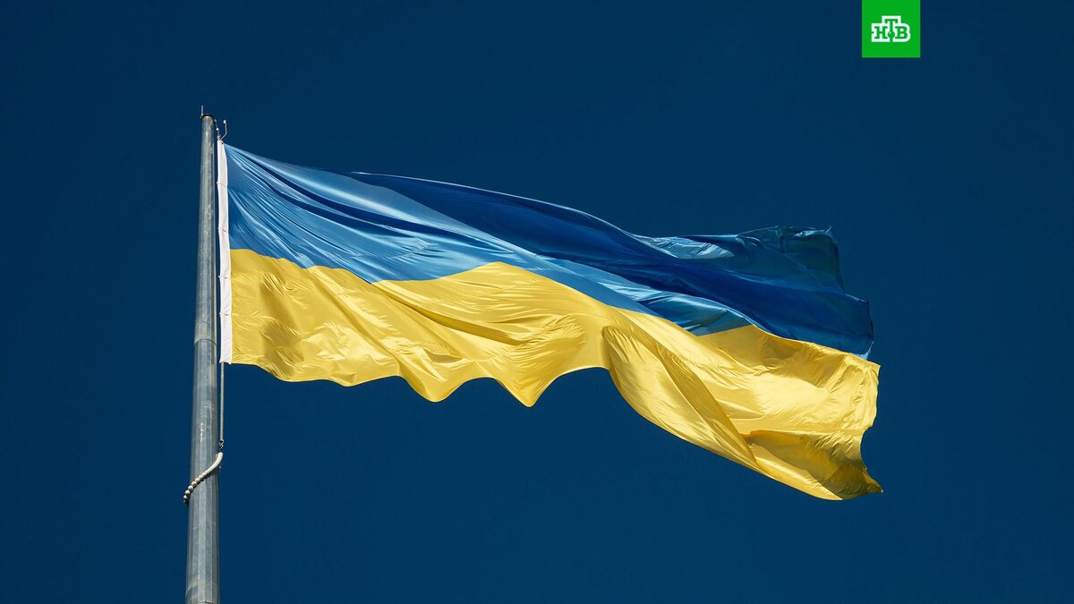    Фото: Yehor Milohrodskyi