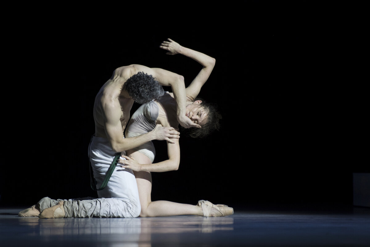 Е.Петина - Катарина. Не знаю, кто партнёр. Фото взято отсюда: https://novat.nsk.ru/theatre/repertoire/ukroshchenie_stroptivoy/?referer1=newsletters_2019_ngs30