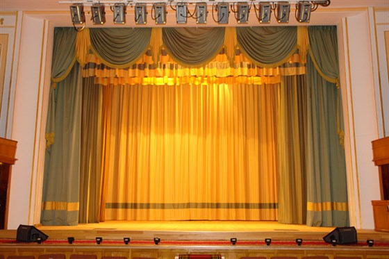 Фото из Яндекса.  Сцена концертного зала Дома учёных.