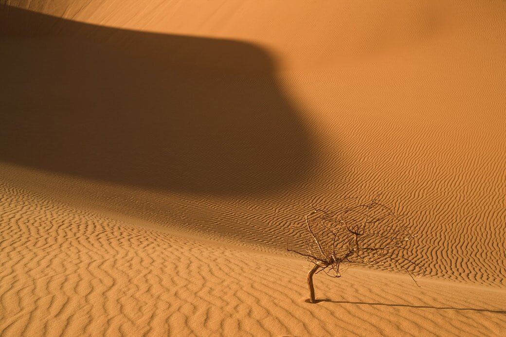 Вопросы по теме пустыня. Презентация по теме пустыня. Тропические пустыни презентация. Что такое пустыня определение. Доклад о пустыне.