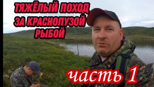 Tải video: АРКТИЧЕСКИЙ ГОЛЕЦ И КУМЖА. ТУНДРА КОЛЬСКОГО ПОЛУОСТРОВА. ЧАСТЬ #1.