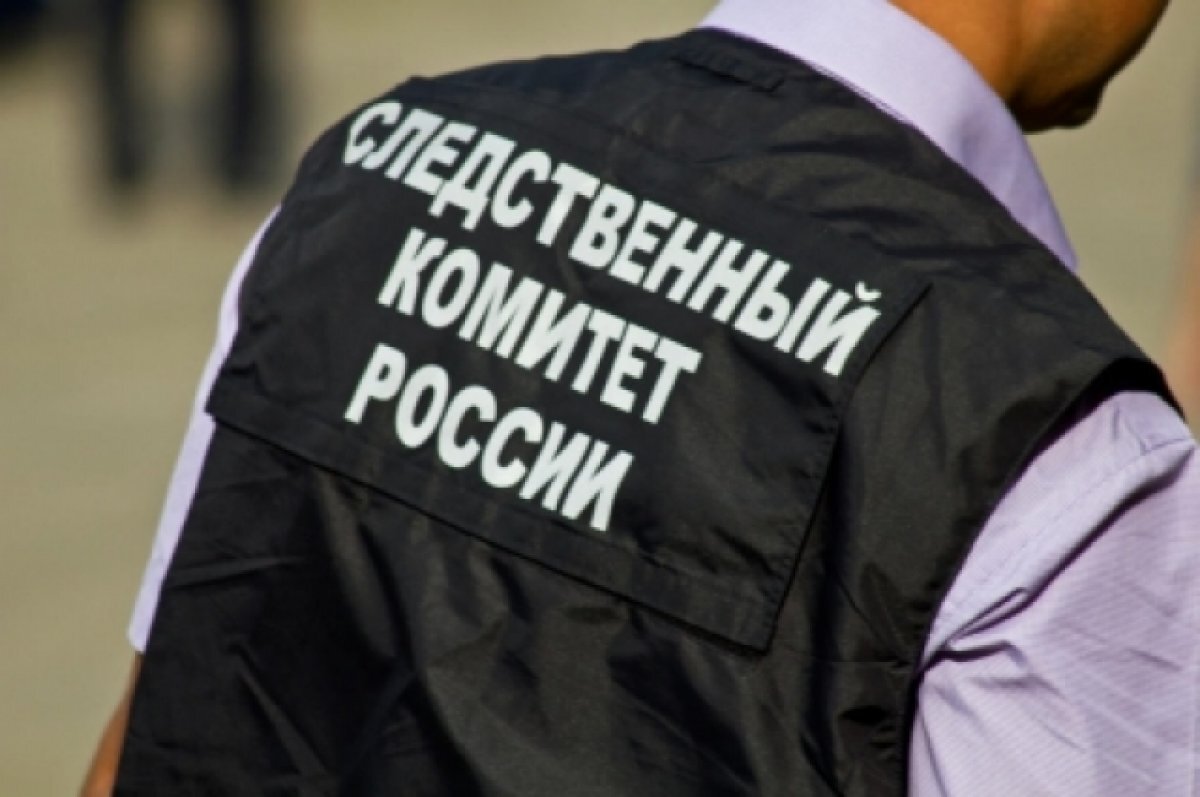    Уголовные дела завели после нападения пятиклассницы на сверстницу в Химках
