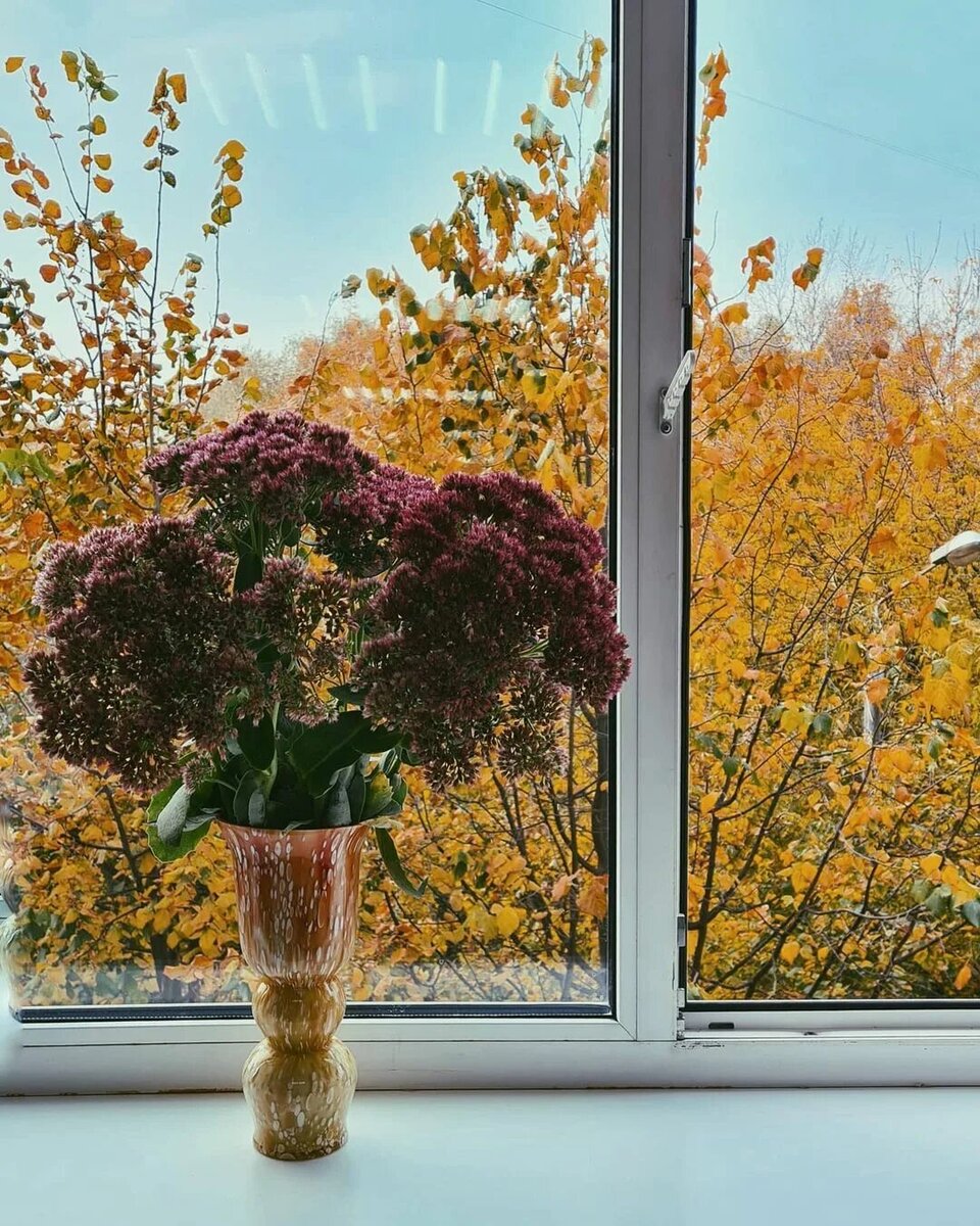 Осень. Вид из окна.