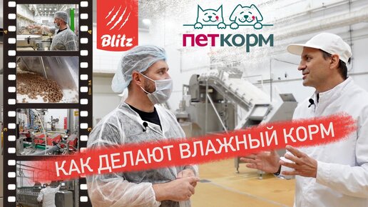 Как делают влажный корм для кошек и собак Blitz | Обзор завода Петкорм / Эксклюзив