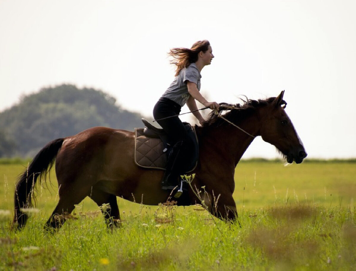 Тест на эрудицию: Вы в хорошо держитесь в седле, если знаете ответы ...