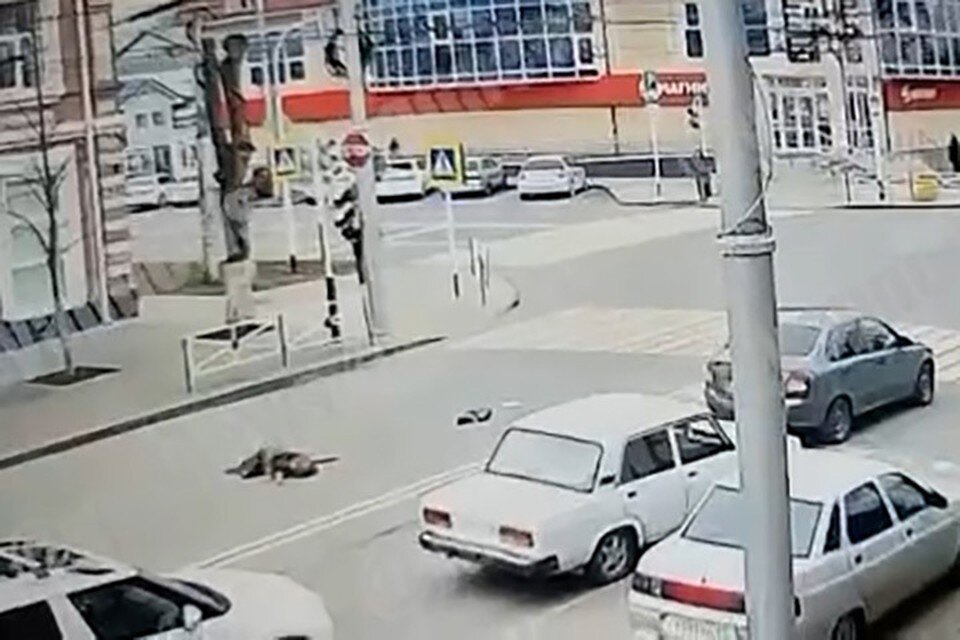     Уличные камеры видеонаблюдения зафиксировали страшную трагедию. Фото: скриншот видео