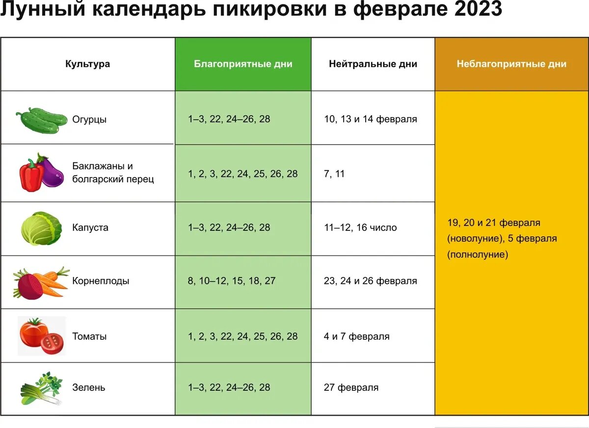 Лунный календарь пикировки на февраль. Иллюстрация: "Весь.Искитим"