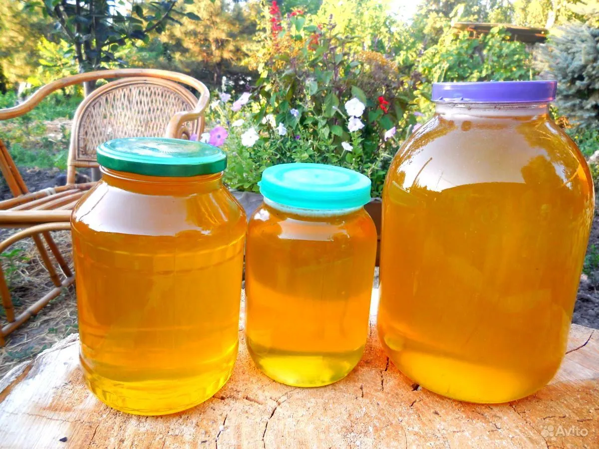 Мед разнотравье горный 3л. Мед Башкирское разнотравье. Мед 3 литра разнотравье. Цветочный мед, мед разнотравие. Мед купить квартиру