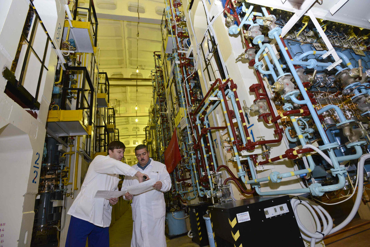 Фото предоставлено Администрацией ЗАТО Зеленогорск