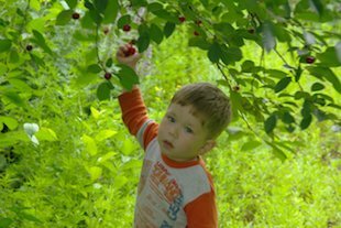 фото к. Ивановой, г. Санкт-Петербург