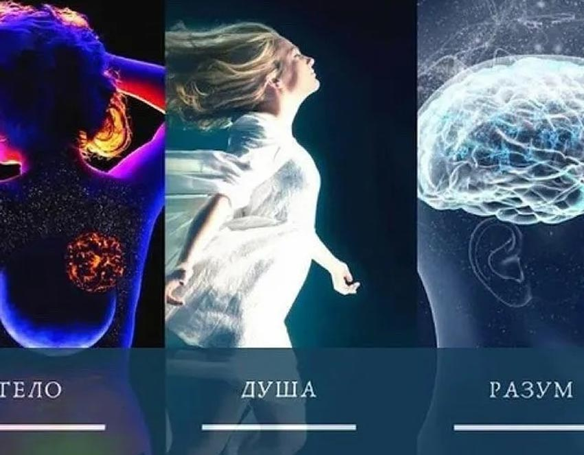 Связь с телом. Тело душа разум. Дух душа тело разум. Тело ум дух. Личность = тело + разум + душа..