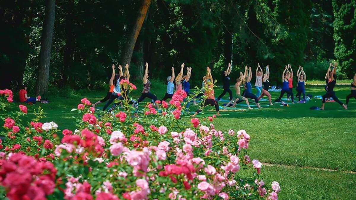    Занятия йогой проходят в усыпанной цветами Долине роз.Фото: vk.com/kislovodsk.park