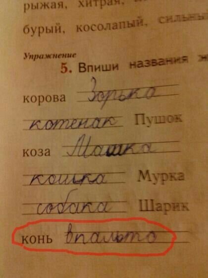 Детская непосредственность заставляет нас улыбнуться, а иногда даже посмеяться. 13 школьных перлов