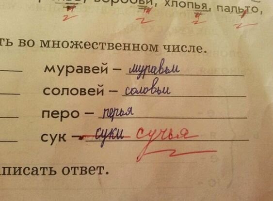 Детская непосредственность заставляет нас улыбнуться, а иногда даже посмеяться. 13 школьных перлов