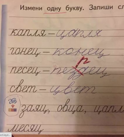 Детская непосредственность заставляет нас улыбнуться, а иногда даже посмеяться. 13 школьных перлов